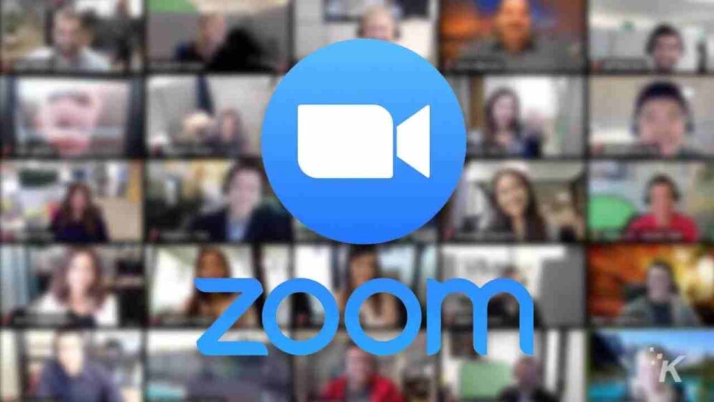 Zoom Webinar vs Meeting