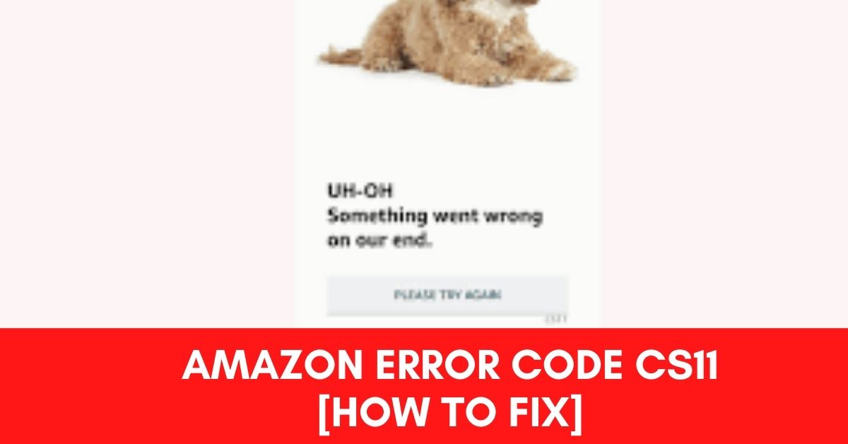 Amazon Error Code CS11 [Fix 2024]