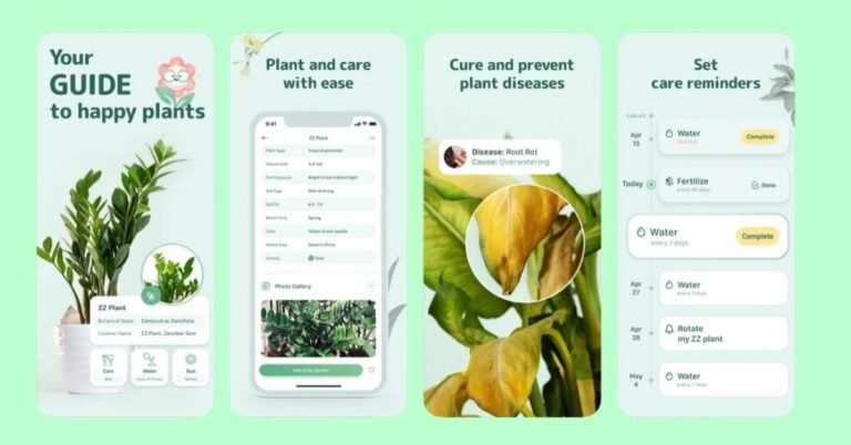Blossom App Review: Does It Really Work? - ViralTalky