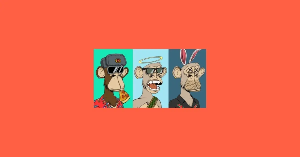 6 Back Market Alternatives to Try Out! [2024] ViralTalky