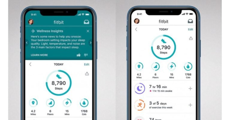 MyFitnessPal Vs Fitbit Complete Comaprison 2023 ViralTalky