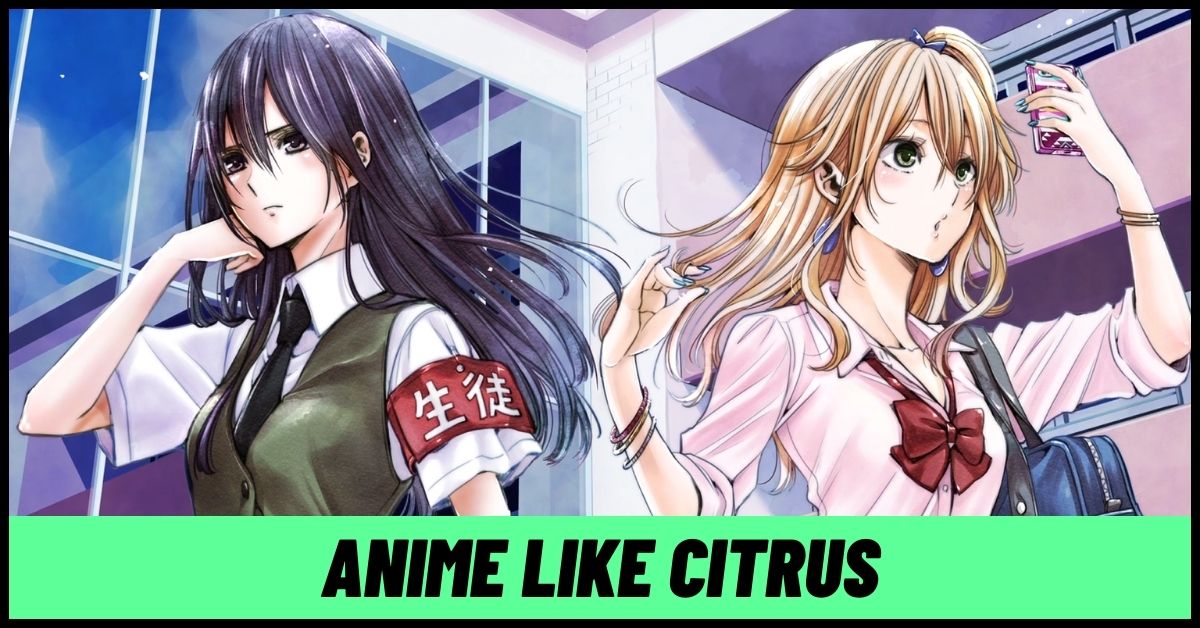 7 Yuri Anime like Citrus to Binge Overnight! [2024]