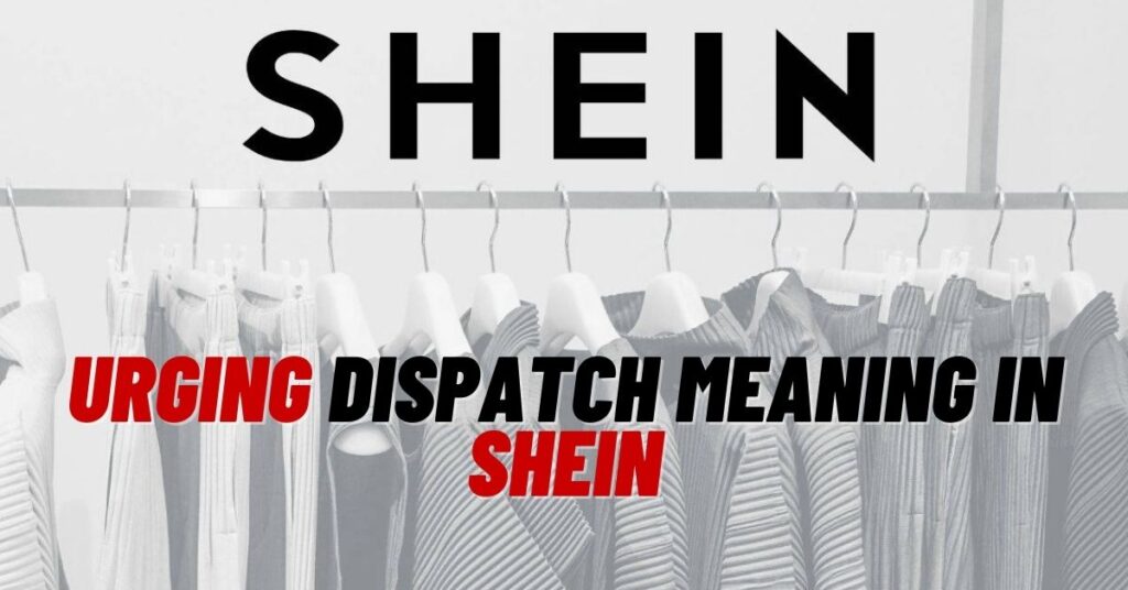 Urging Dispatch Meaning in Shein? [Explained 2023]