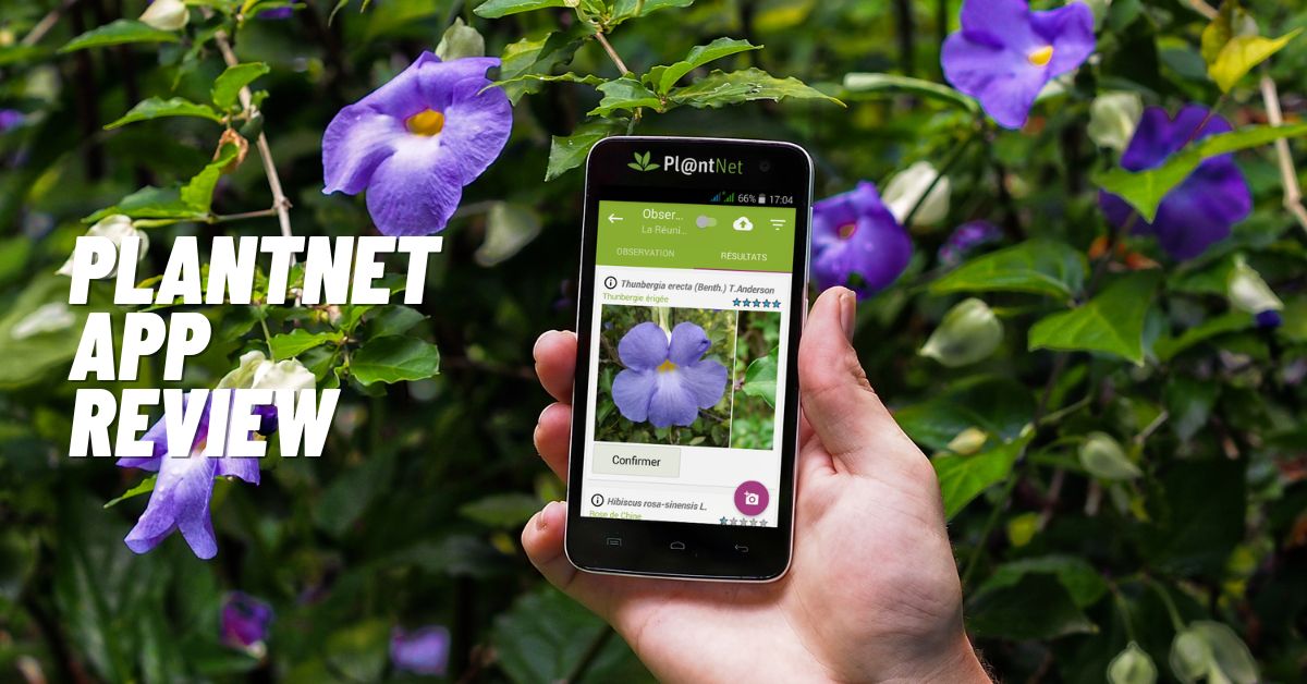Plantnet App Review