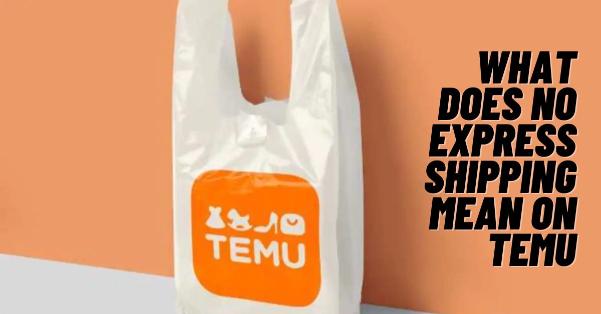What Does No Express Shipping Mean on Temu
