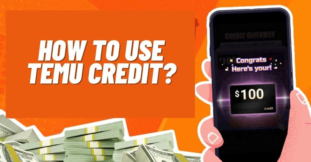 How to Use Temu Credit? [Guide 2023]
