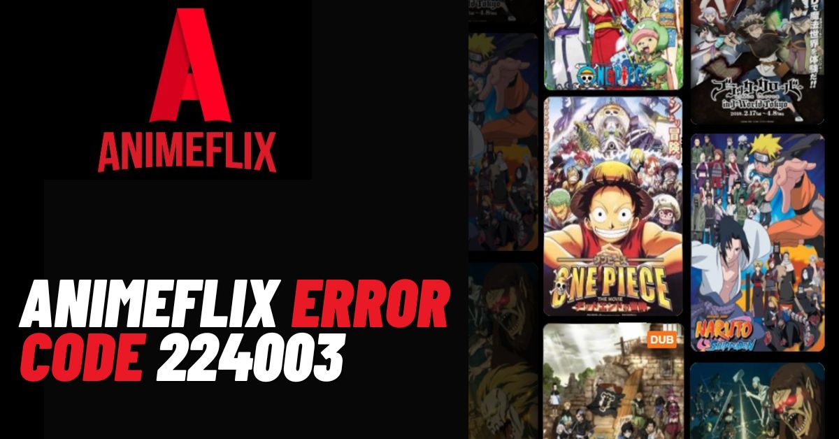 Animeflix Error Code 224003