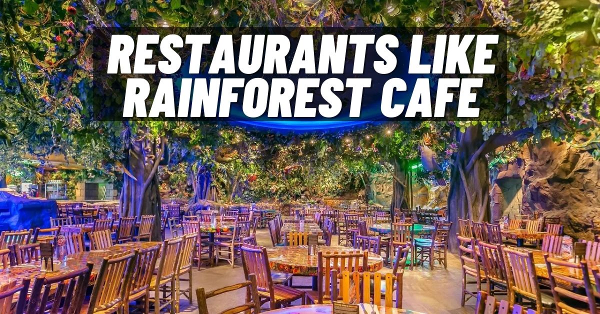 Restaurants like Rainforest Cafe