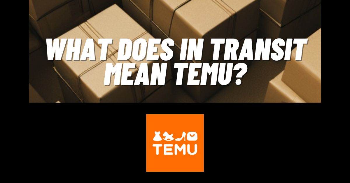 What Does In Transit Mean Temu