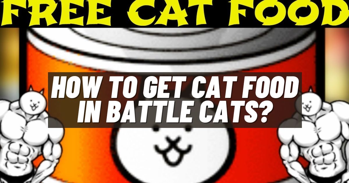 How To Get Cat Food In Battle Cats