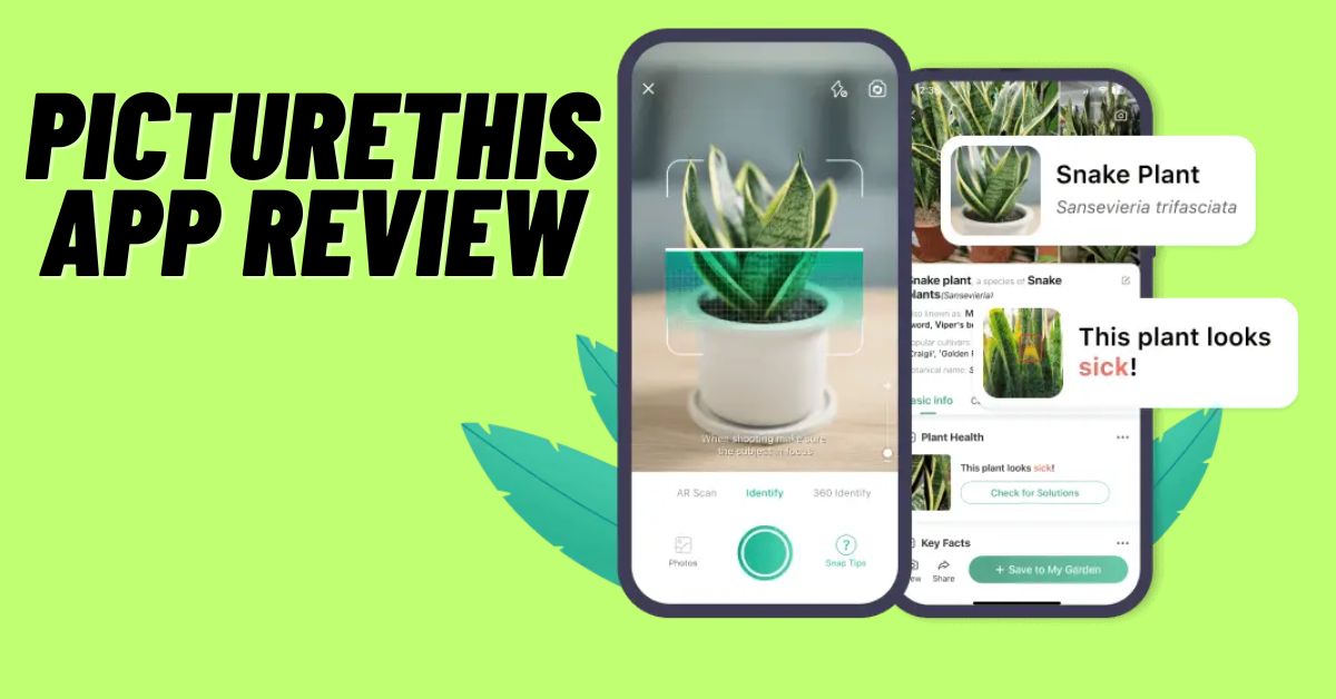 PictureThis App Review