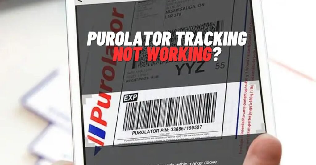 Purolator Tracking Not Working? [Fix 2024] ViralTalky