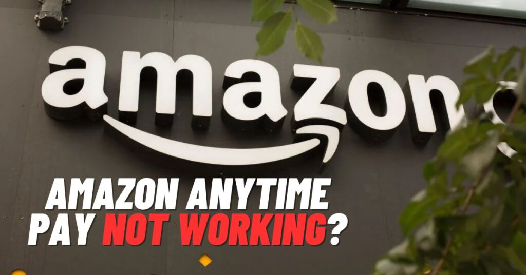 Amazon Anytime Pay Not Working?[How to Fix]