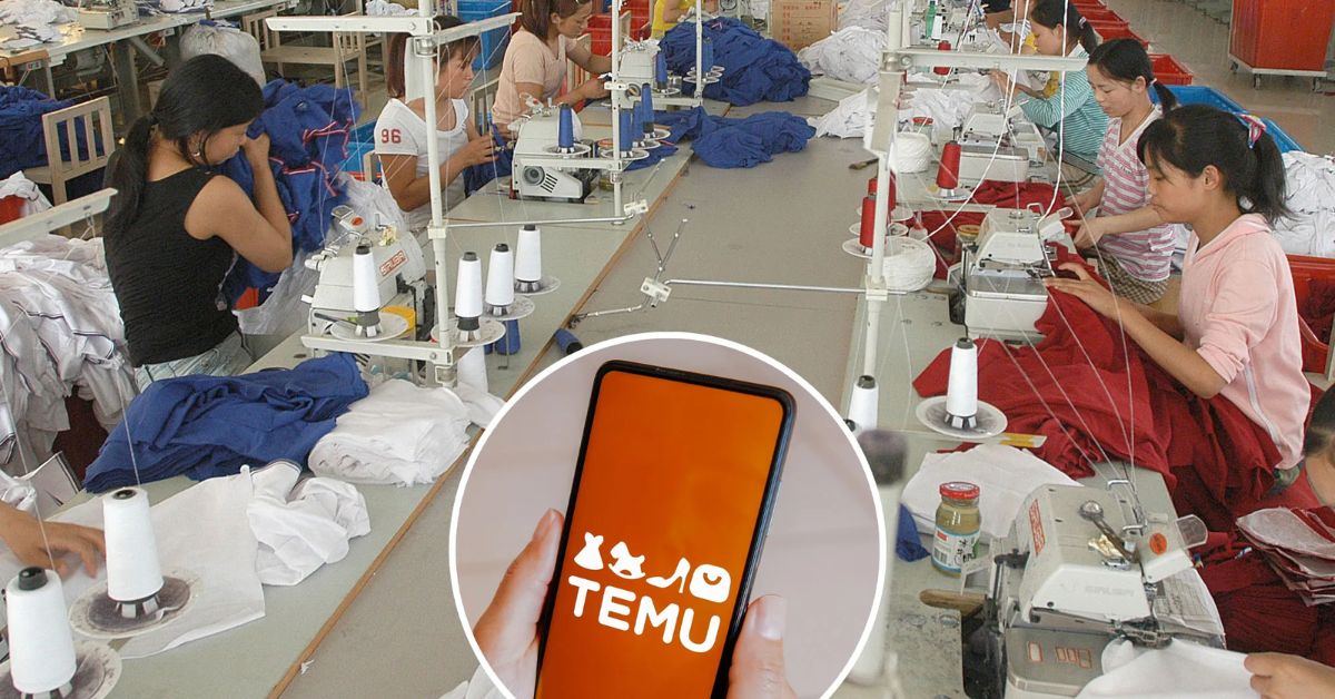 Is Temu a Sweatshop? Exploring the Reality of Sweatshop Claims [2024]