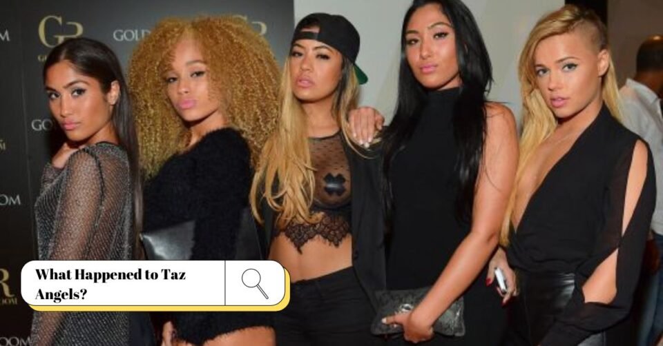 What Happened to Taz Angels? [Explained 2024] - ViralTalky